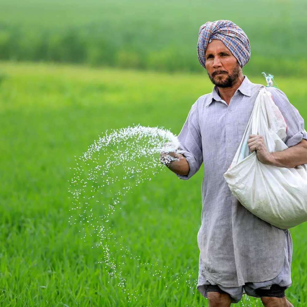 Fertilizer-2